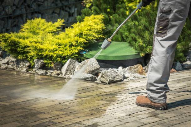 Best Sidewalk and Walkway Cleaning  in Junction, TX
