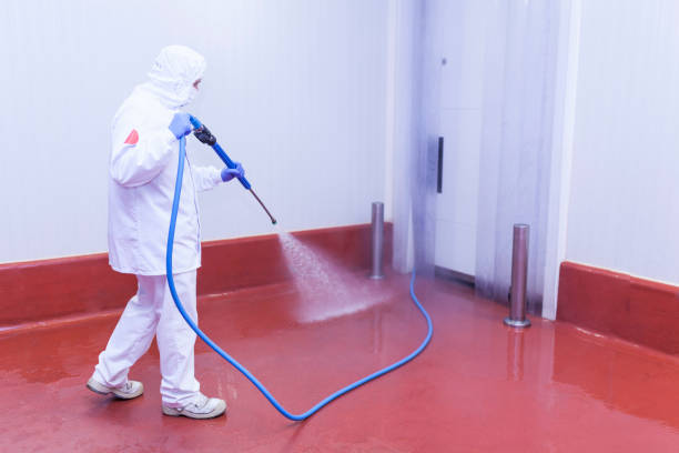 Best Graffiti Removal  in Junction, TX